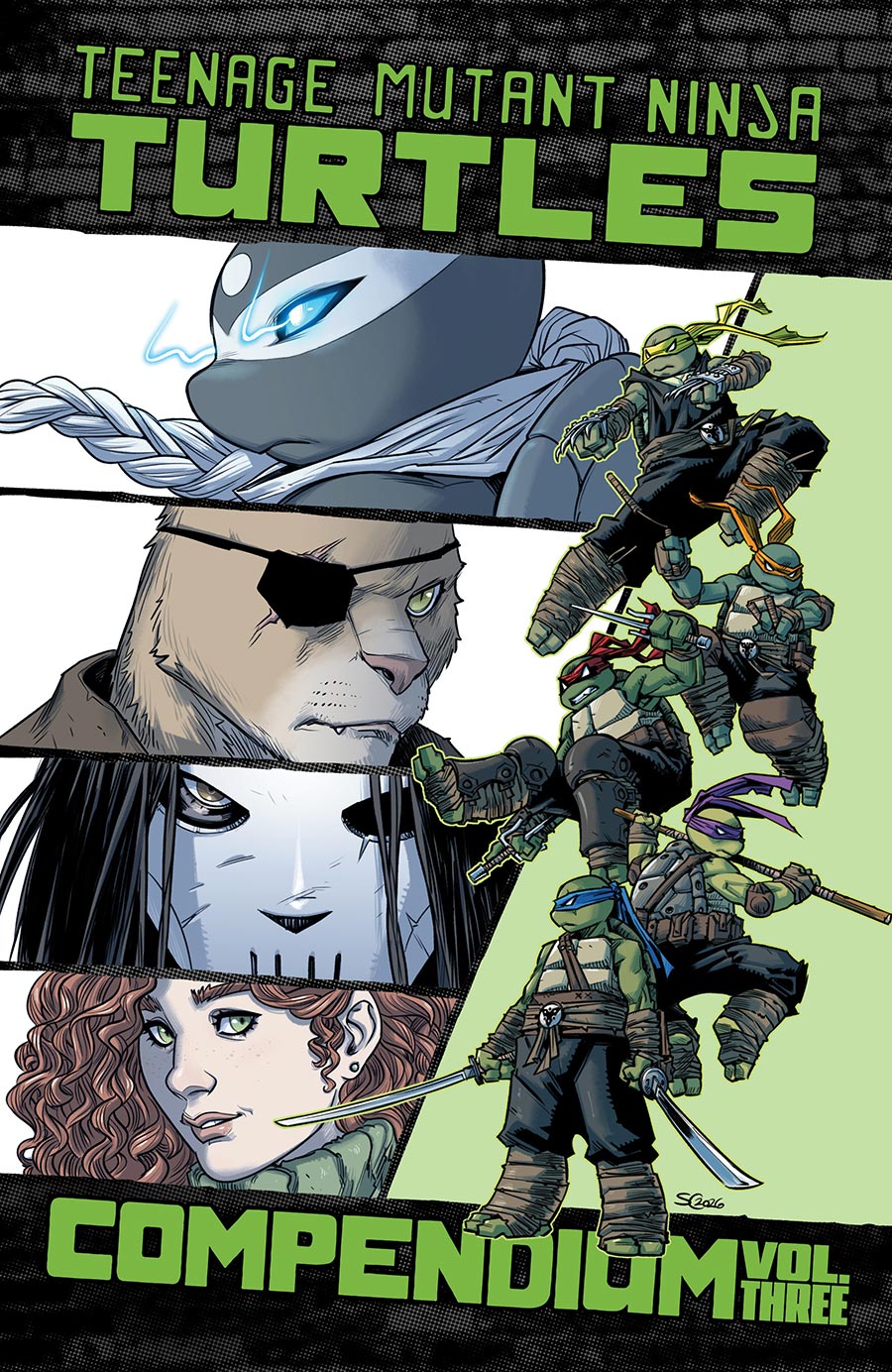 Teenage Mutant Ninja Turtles Ongoing Compendium Vol 3 TP