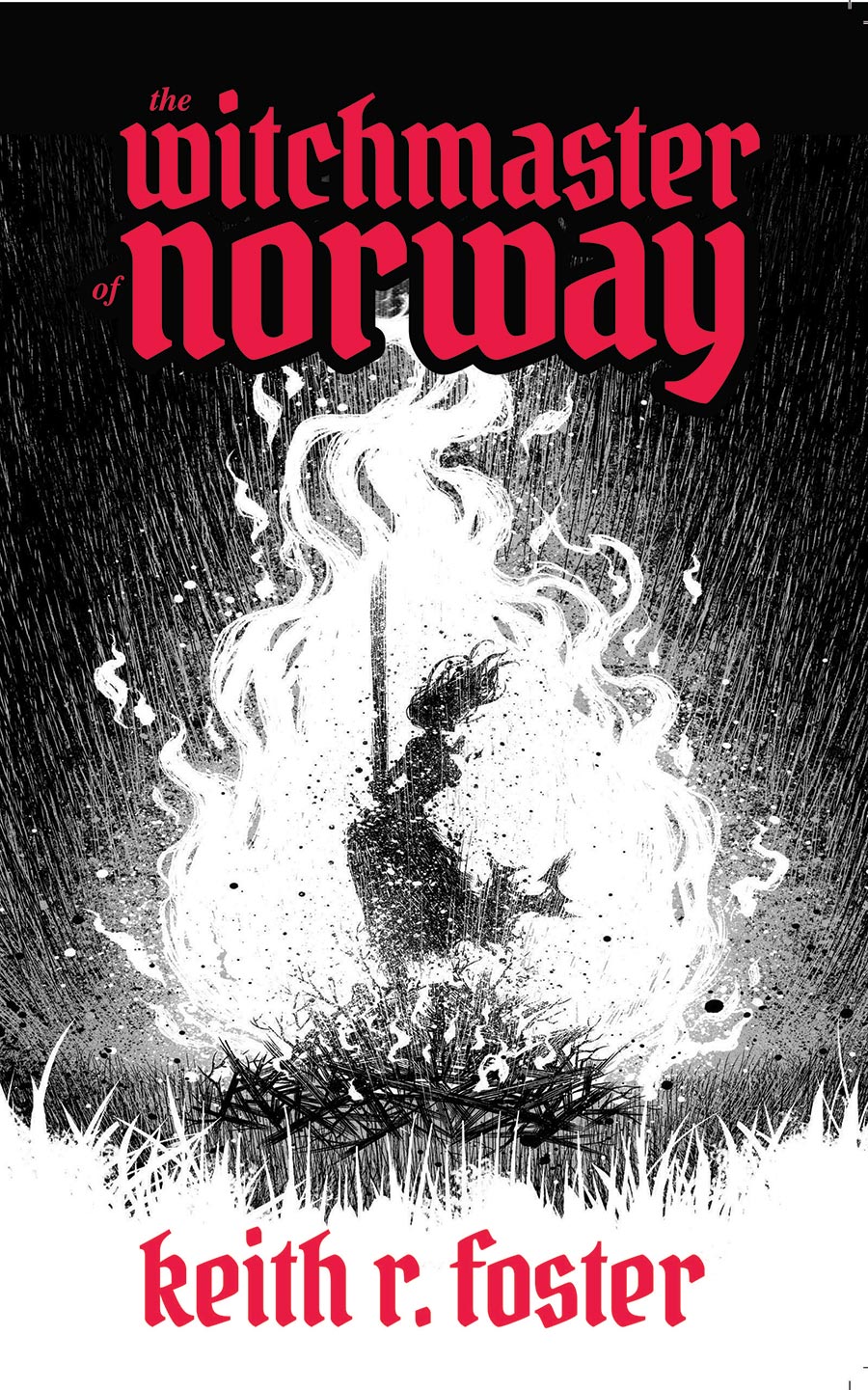 Witchmaster Of Norway An Illustrated Novel TP