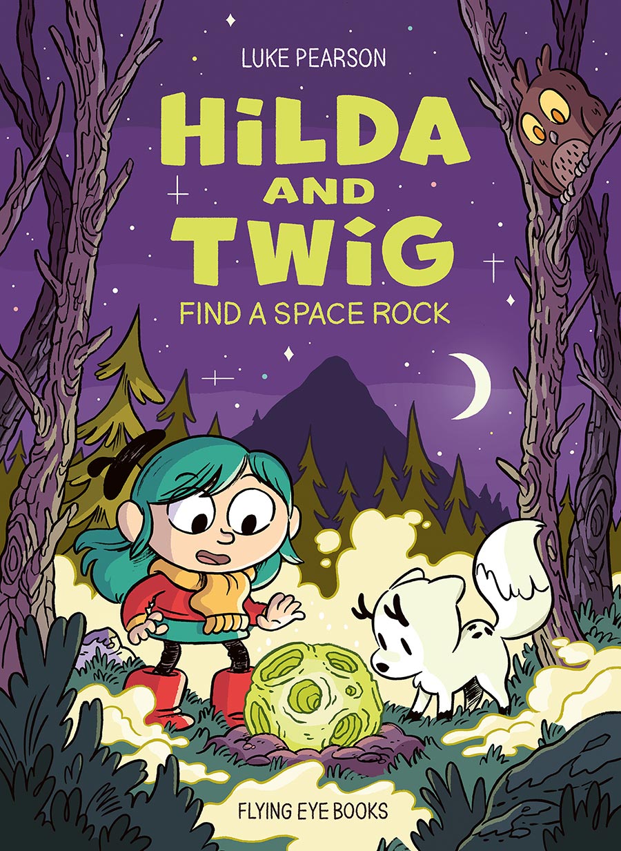 Hilda And Twig Find A Space Rock HC