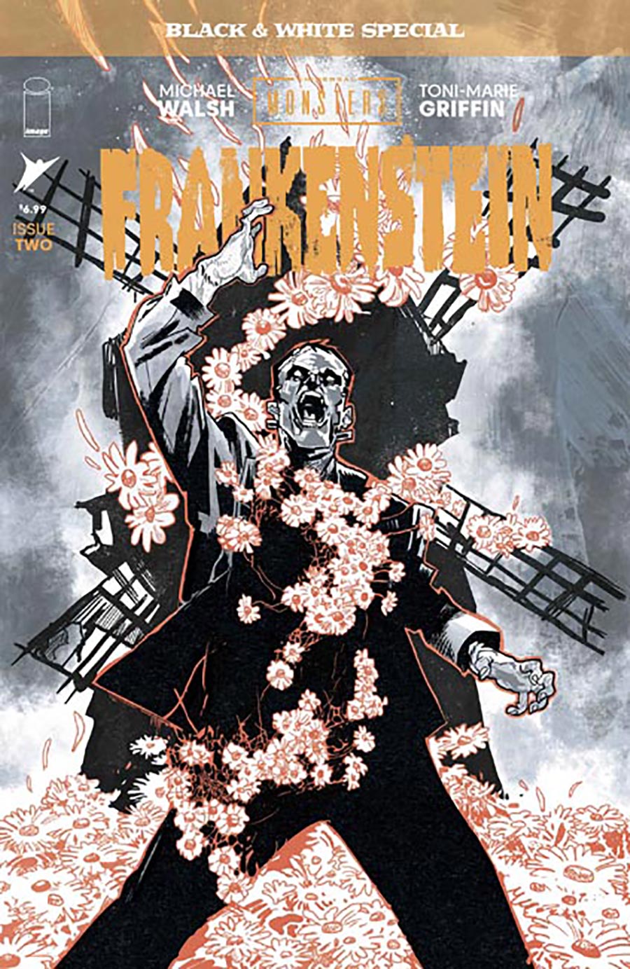 Universal Monsters Frankenstein Black & White Special #2 Cover A Regular Michael Walsh Cover