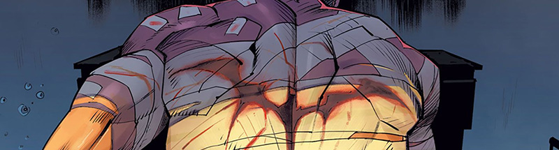 Bat Family This Week