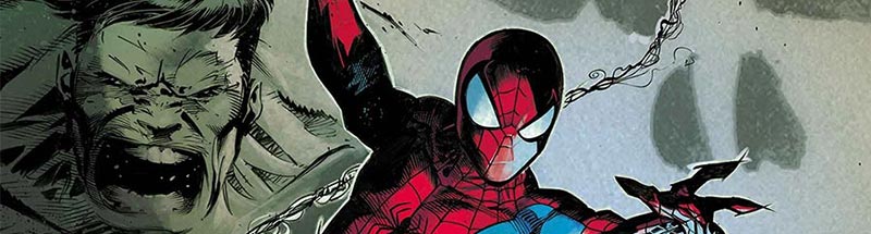 Spider-Man Family