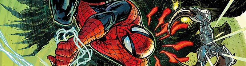 Spider-Man Family