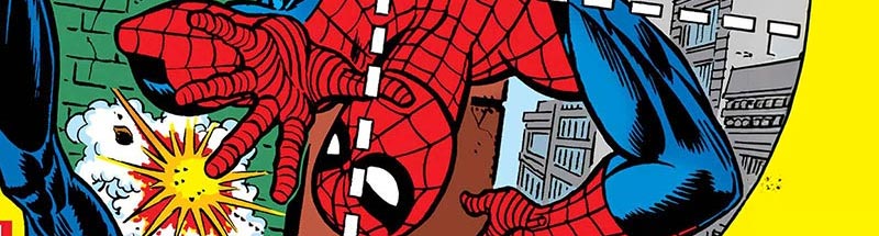Spider-Man Family