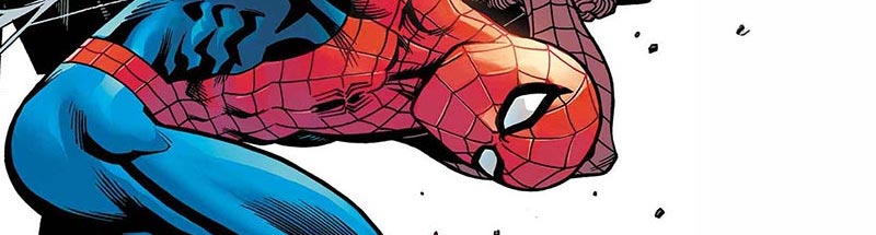 Spider-Man Family