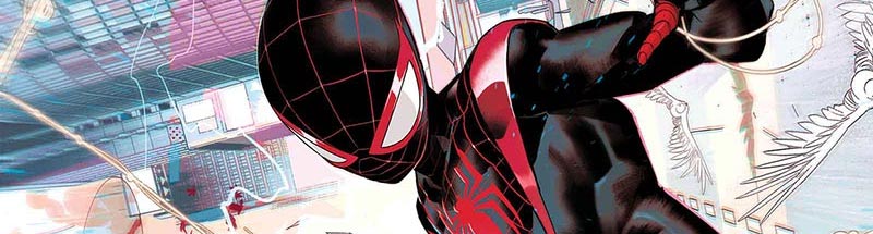 Spider-Man Family