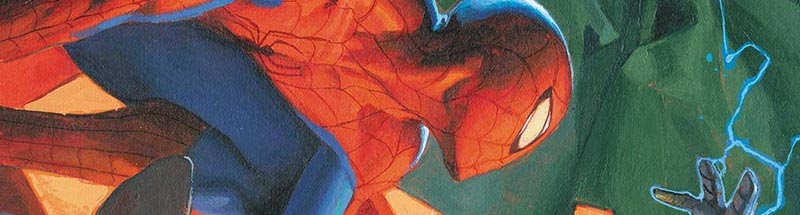 Spider-Man Family
