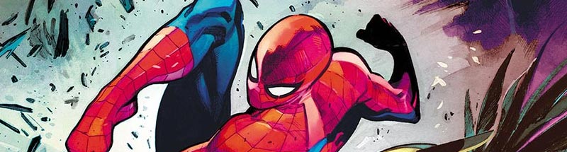 Spider-Man Family